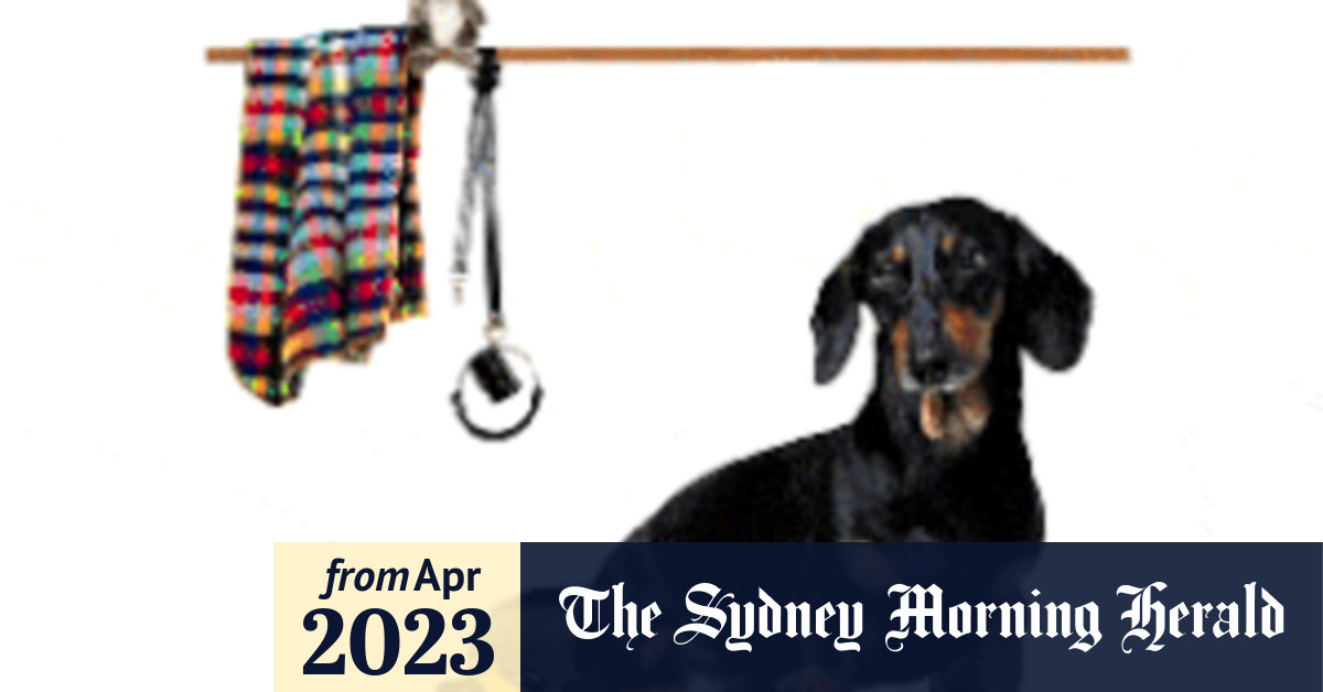 The Good Weekend pet gift guide